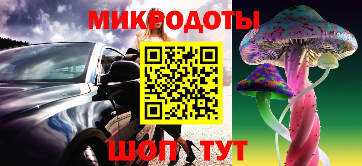 Псилоцибиновые грибы Psilocybe Рыбинск